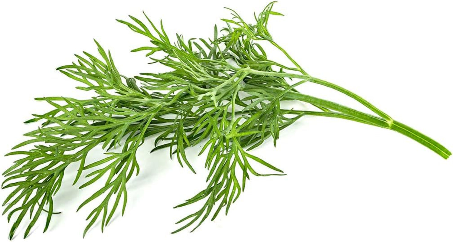 Smart Garden Dill Plant Pods, 3-Pack