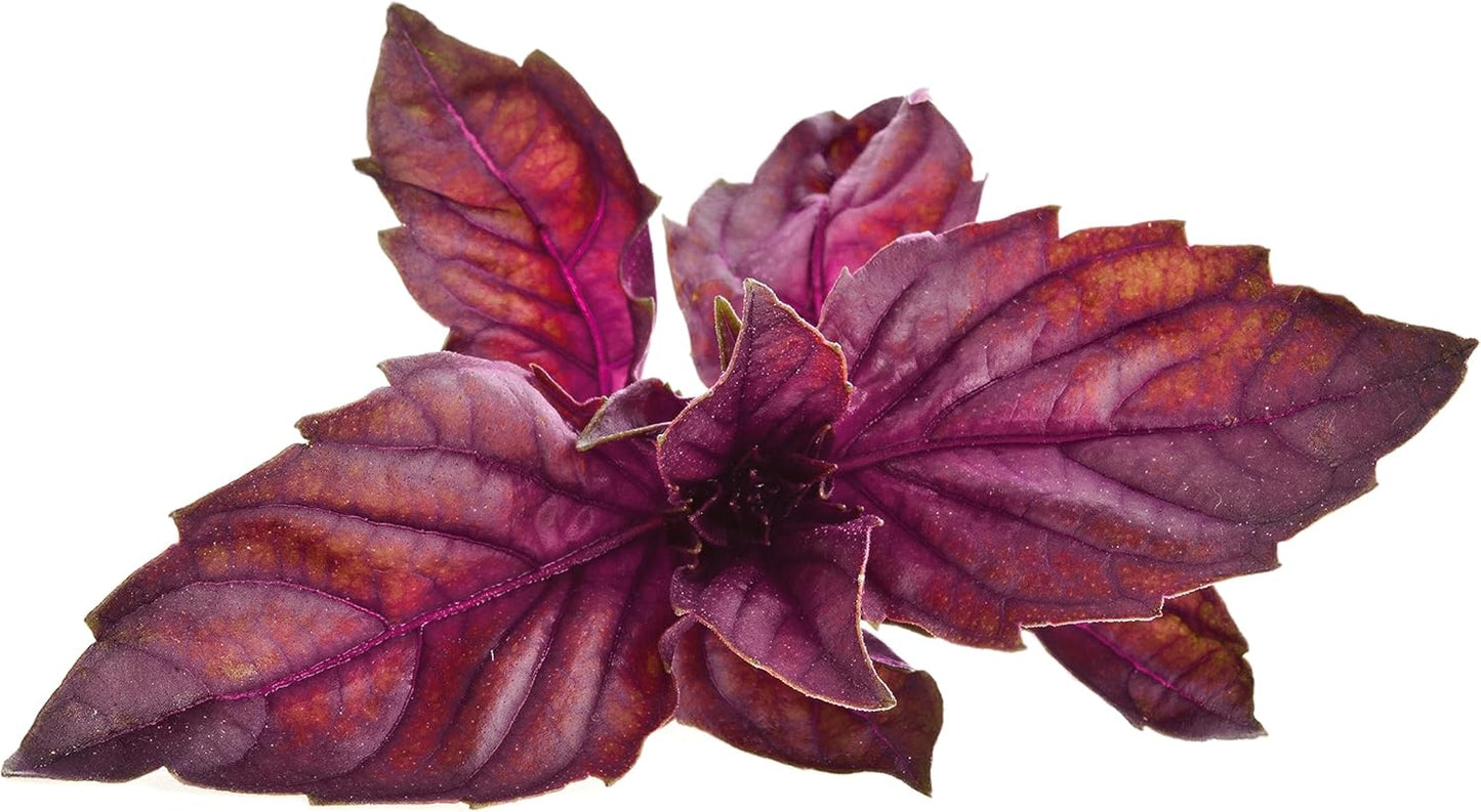 Smart Garden Red Basil Plant Pods, 3-Pack