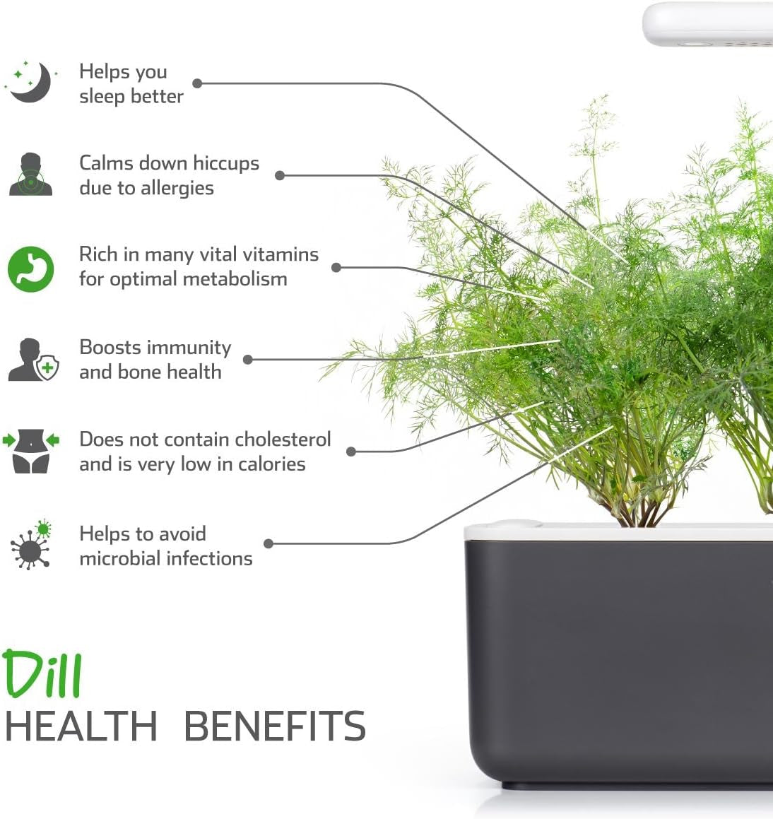 Smart Garden Dill Plant Pods, 3-Pack