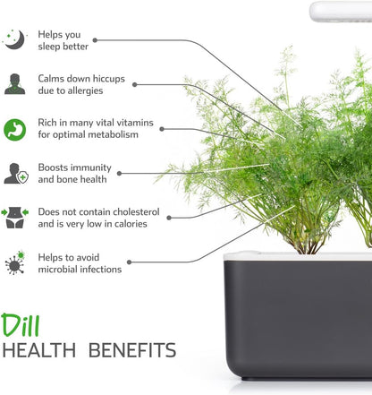 Smart Garden Dill Plant Pods, 3-Pack